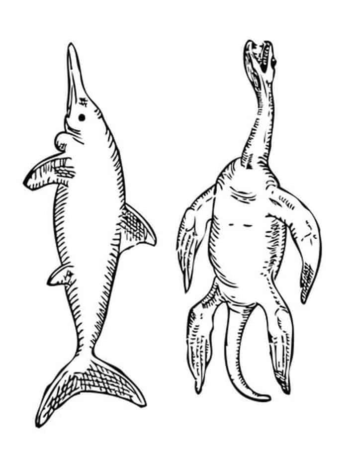Stenopterygius Ichthyosaur And Plesiosaurus Coloring Page