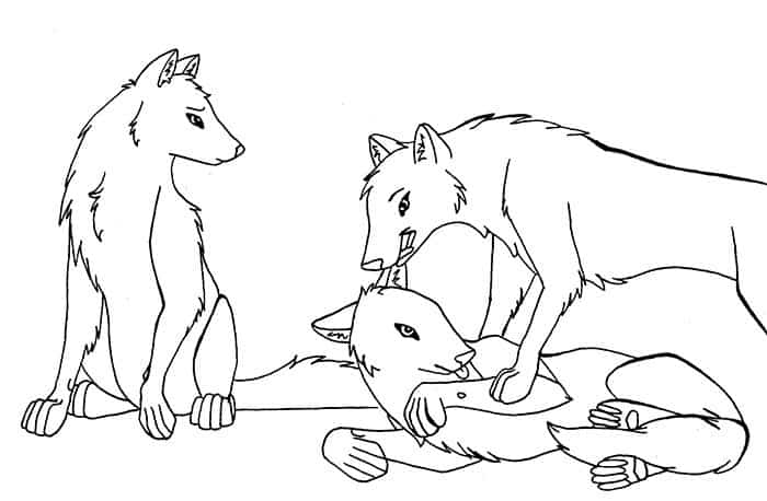 Three Wolves Coloring Pages