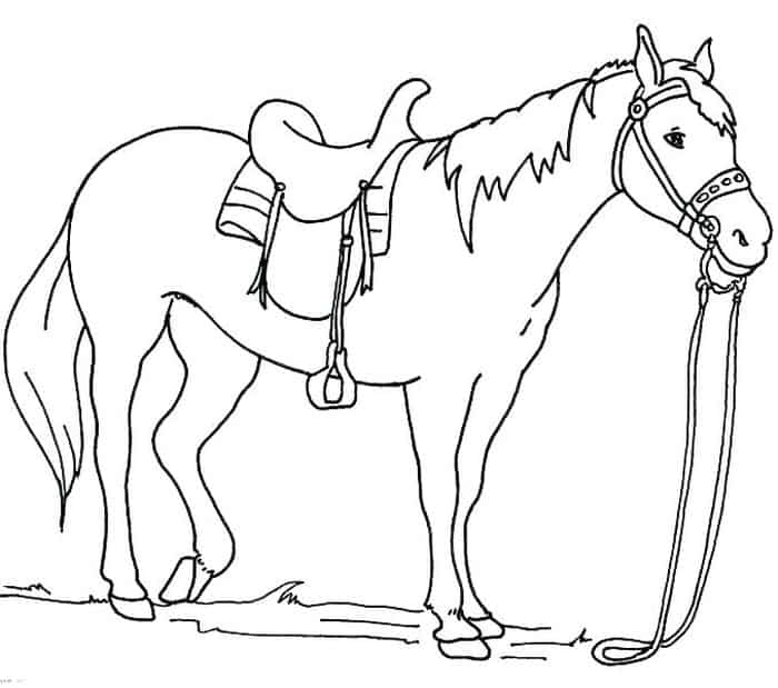 Western Horse Coloring Pages
