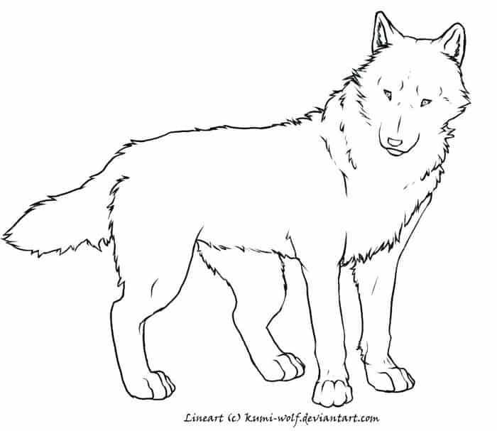 White Wolf Coloring Pages