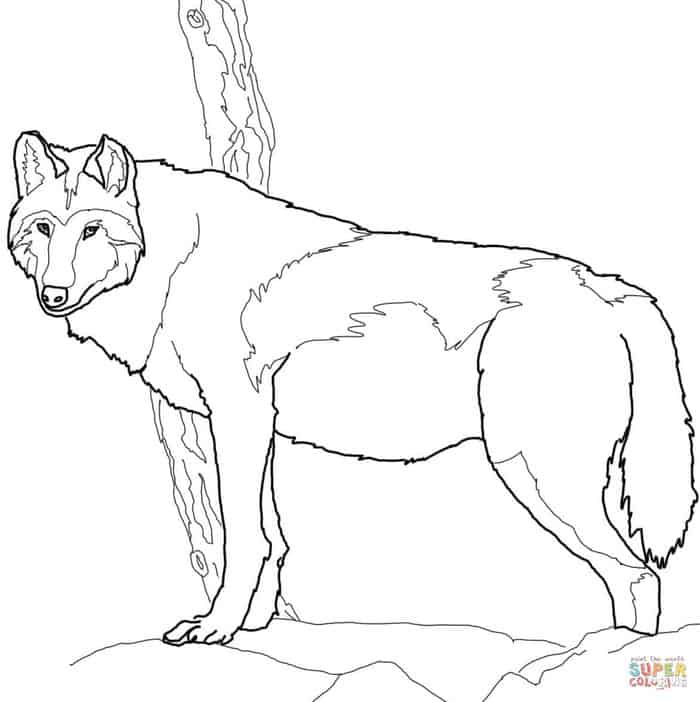 Wolf Coloring Pages Realistic