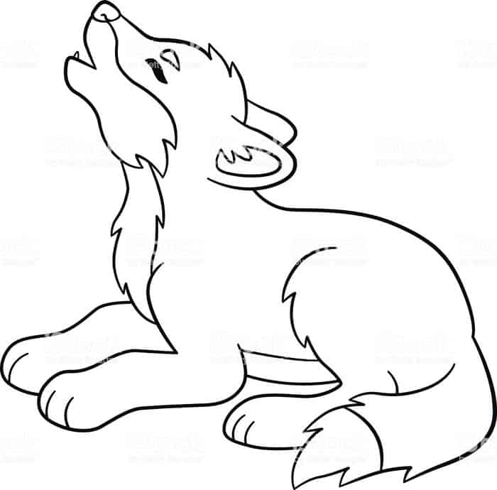 Wolf Cub Coloring Pages