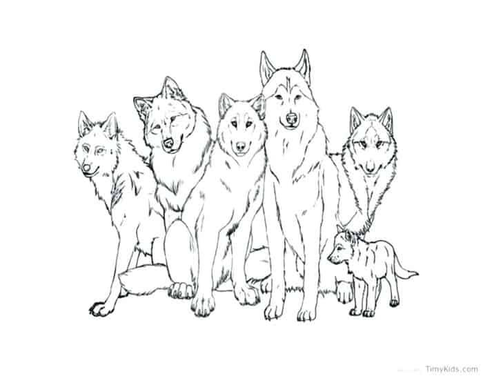 Wolf Pack Coloring Pages