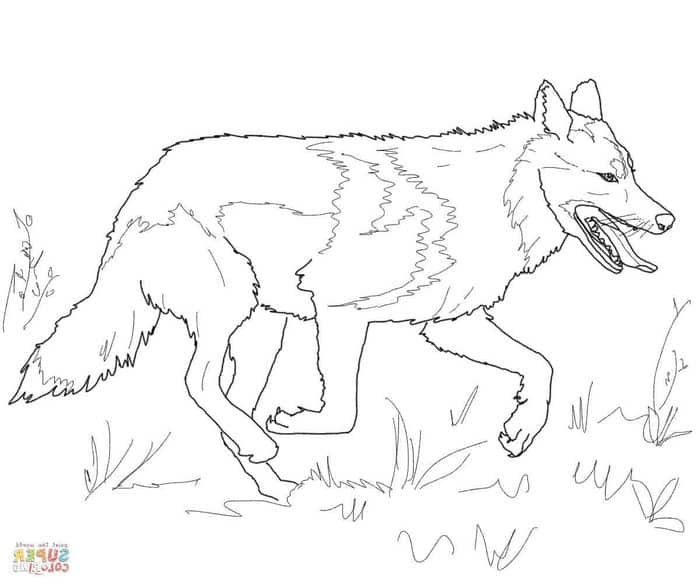 Wolf Running Coloring Pages