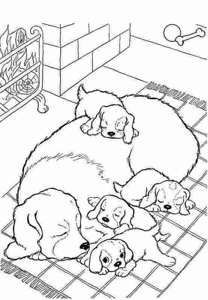 Dog And Puppy Coloring Pages