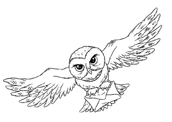 Harry Potter Owl Coloring Pages 1
