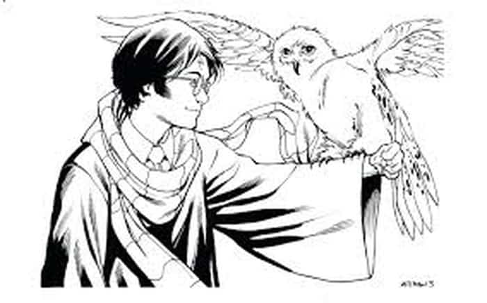 Harry Potter Quidditch Coloring Pages