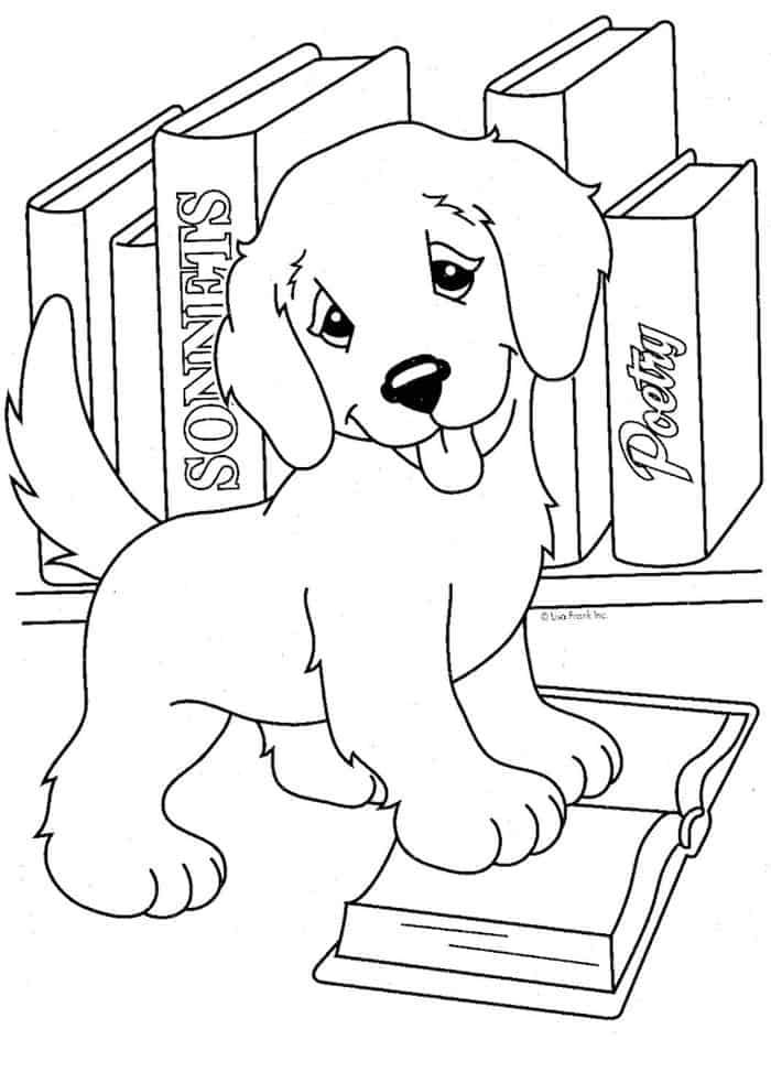 Lab Puppy Coloring Pages