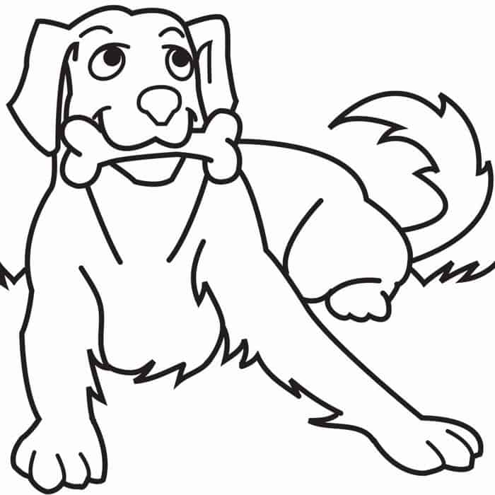 Pomeranian Puppy Coloring Pages