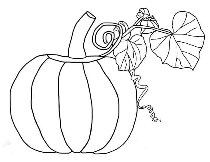Pumpkin Coloring Pages For Kindergarten