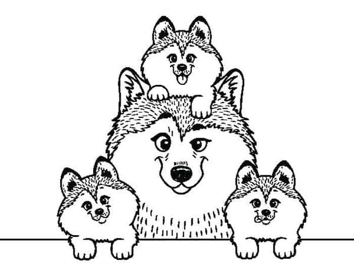 Puppy And Kitty Coloring Pages