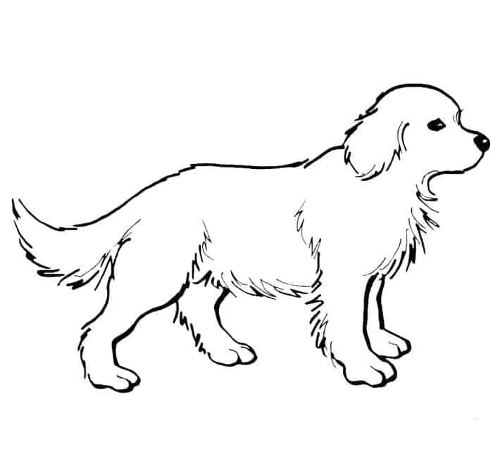 Puppy Coloring Pages Online