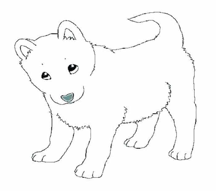 Puppy Pals Coloring Pages