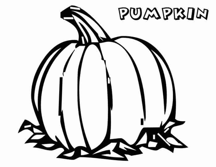 Silly Pumpkin Coloring Pages