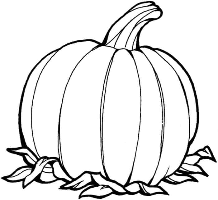 Spookley The Square Pumpkin Coloring Pages