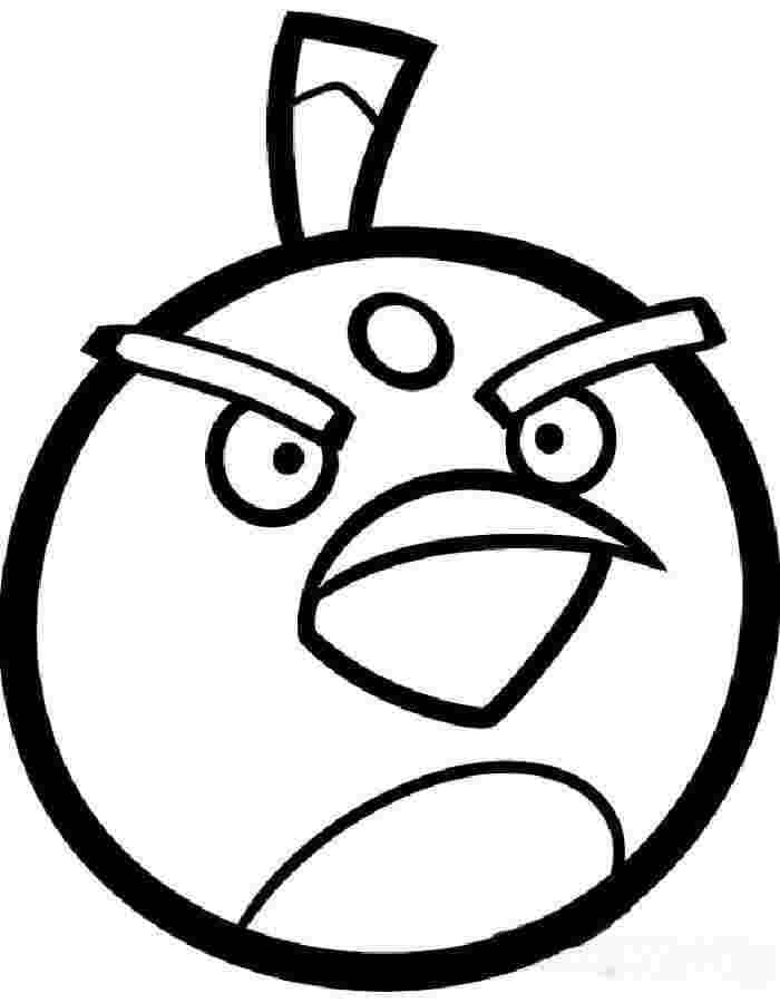 Angry Bird Coloring Pages Tnt