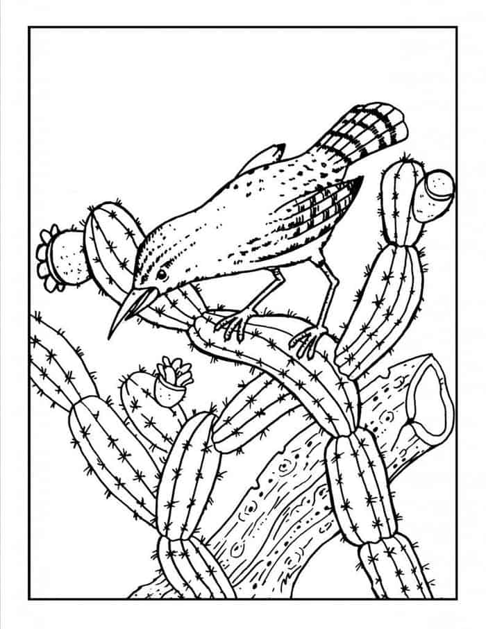 Animal Coloring Pages Cactus