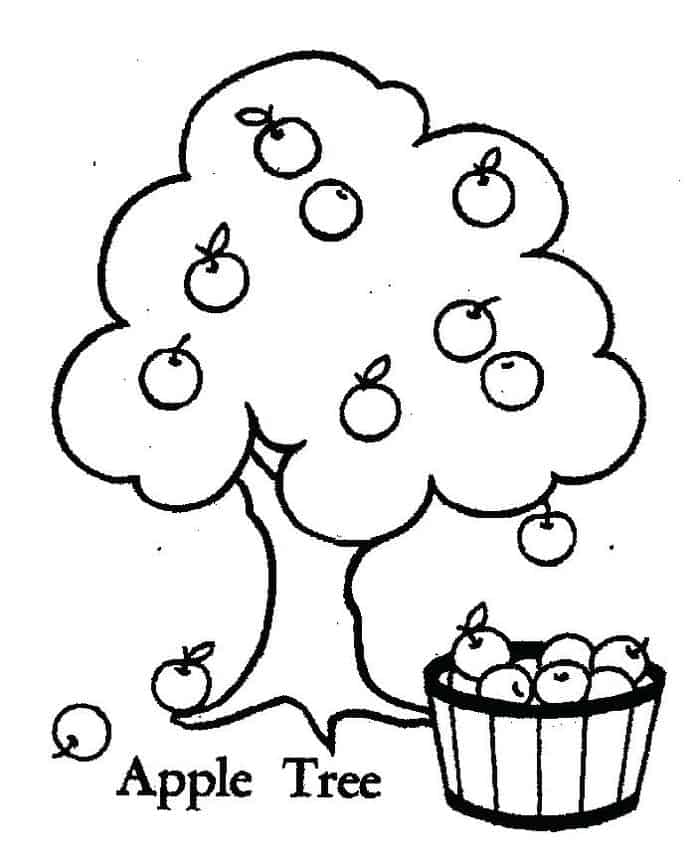 Apple Tree Coloring Pages