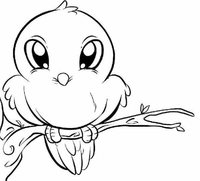 Baby Bird Coloring Pages