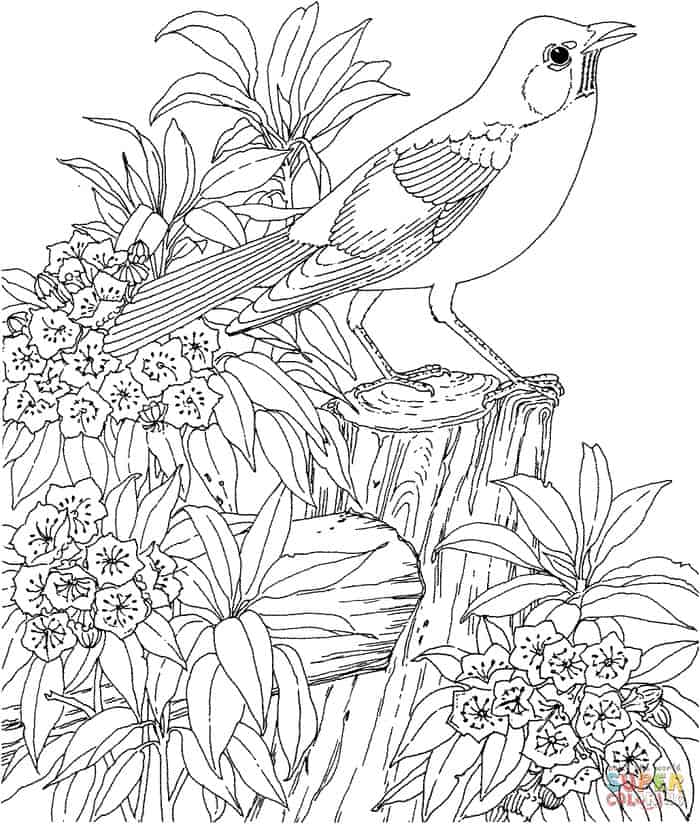 Bird Coloring Pages For Adults