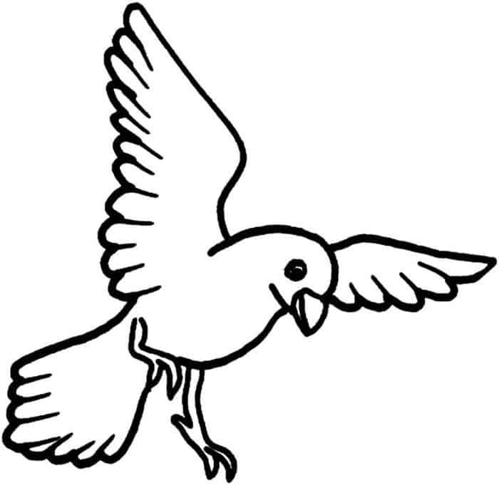 Bird Coloring Pages Printable