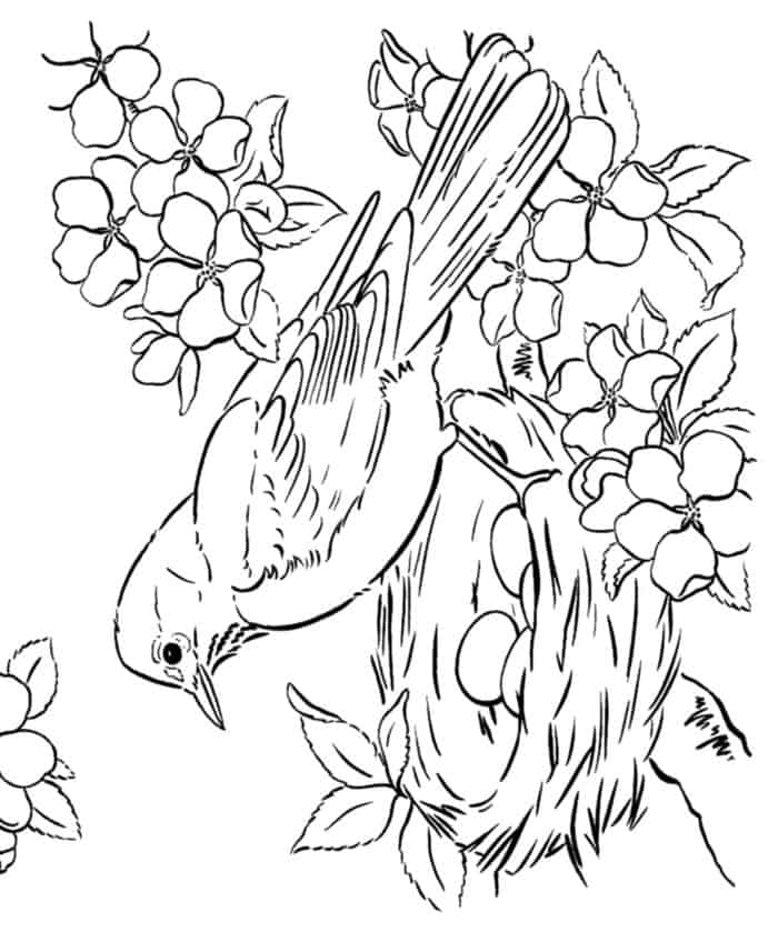 Bird House Coloring Pages