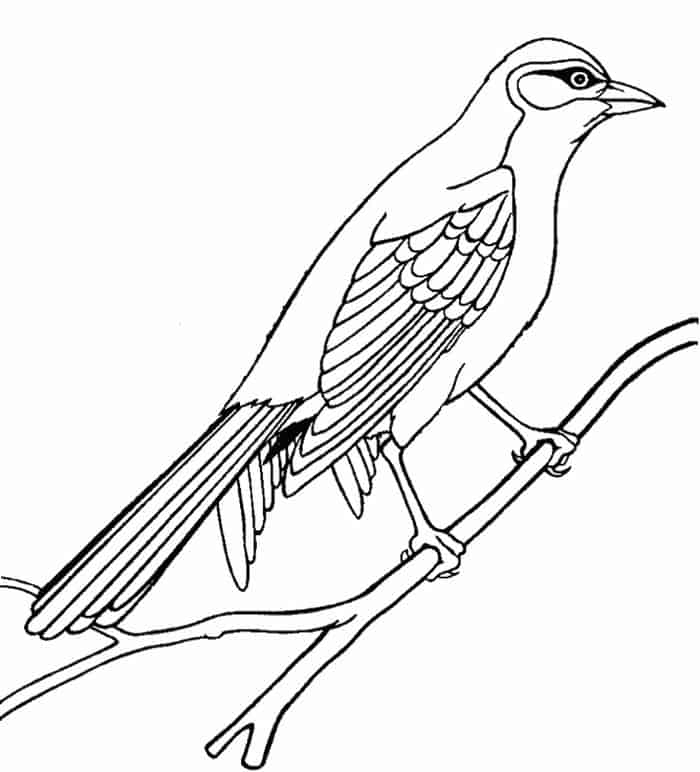 Bird Printable Coloring Pages