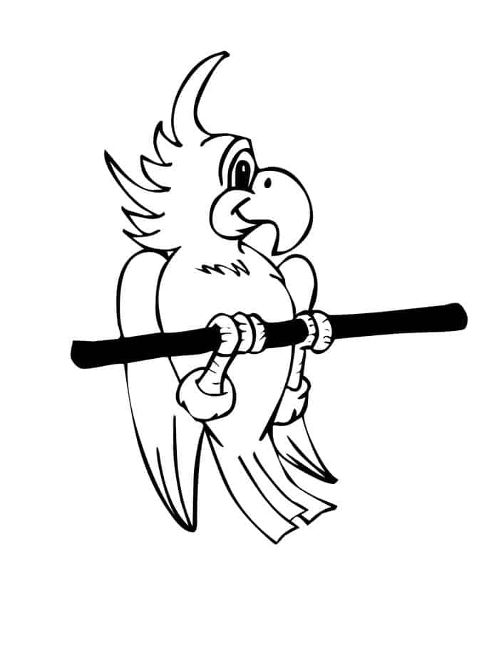 Burgess Bird Book Coloring Pages