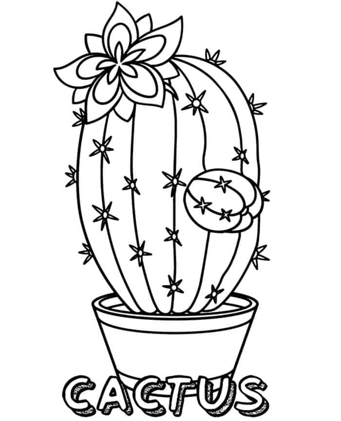 Cactus Plant Coloring Pages