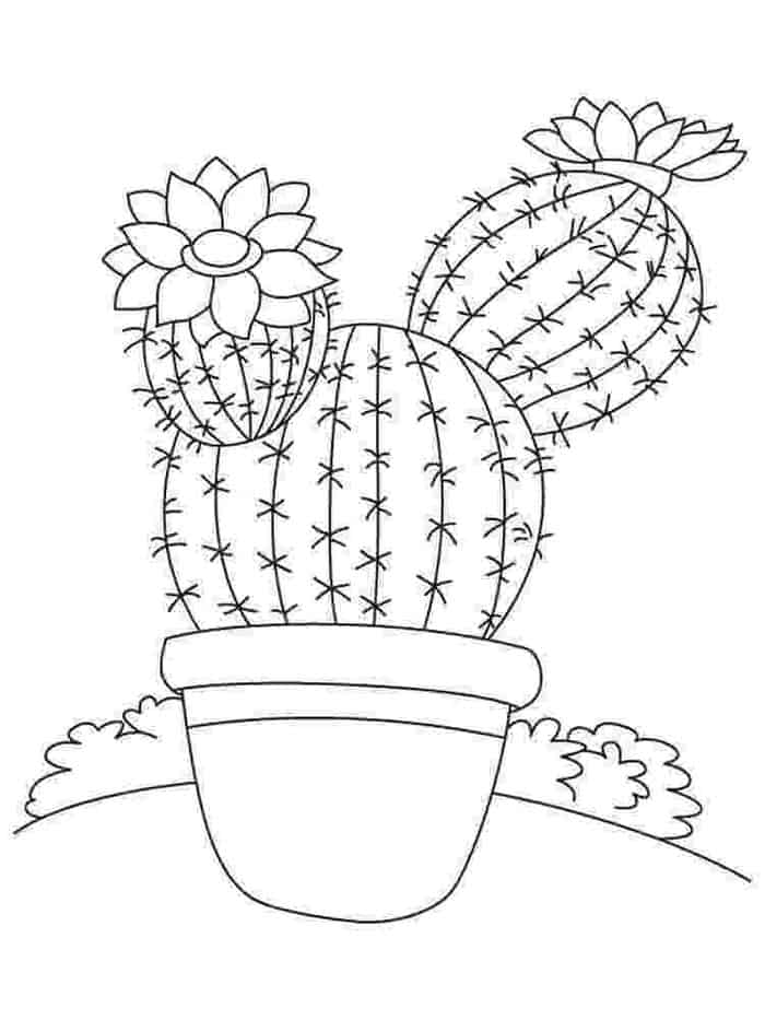 Cold Cactus Coloring Pages