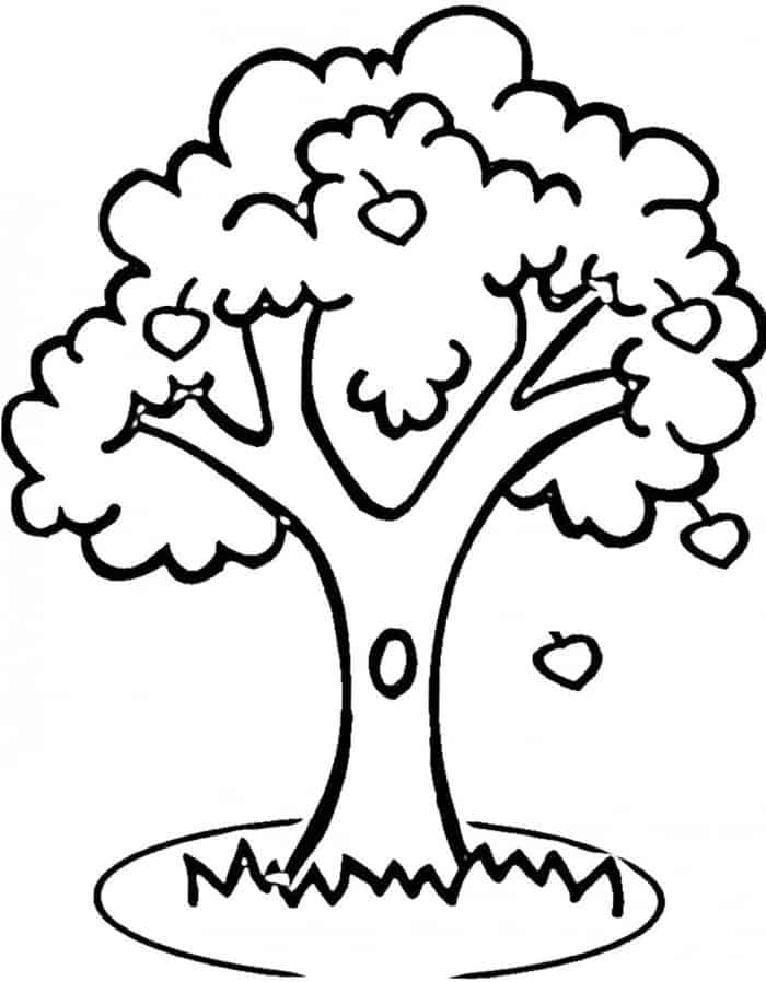 Coloring Pages Apple Trees