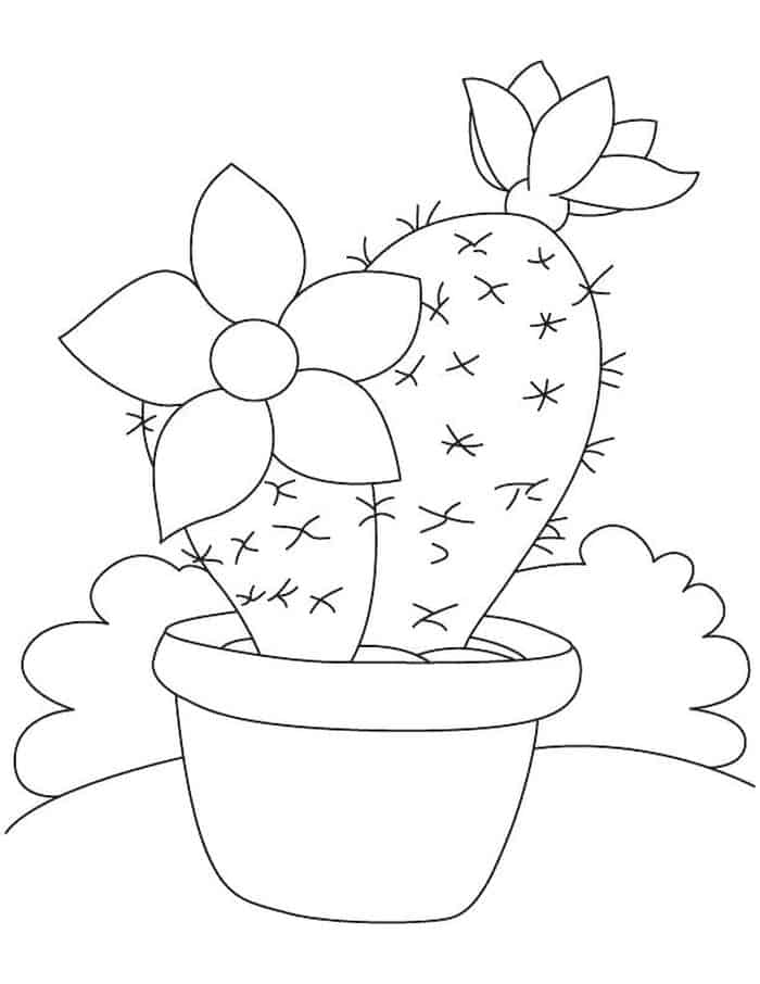 Coloring Pages Of A Cactus Being In Rain