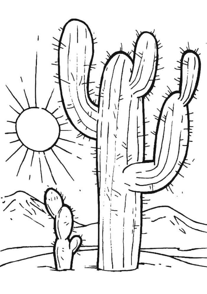 Coloring Pages Of Cactus