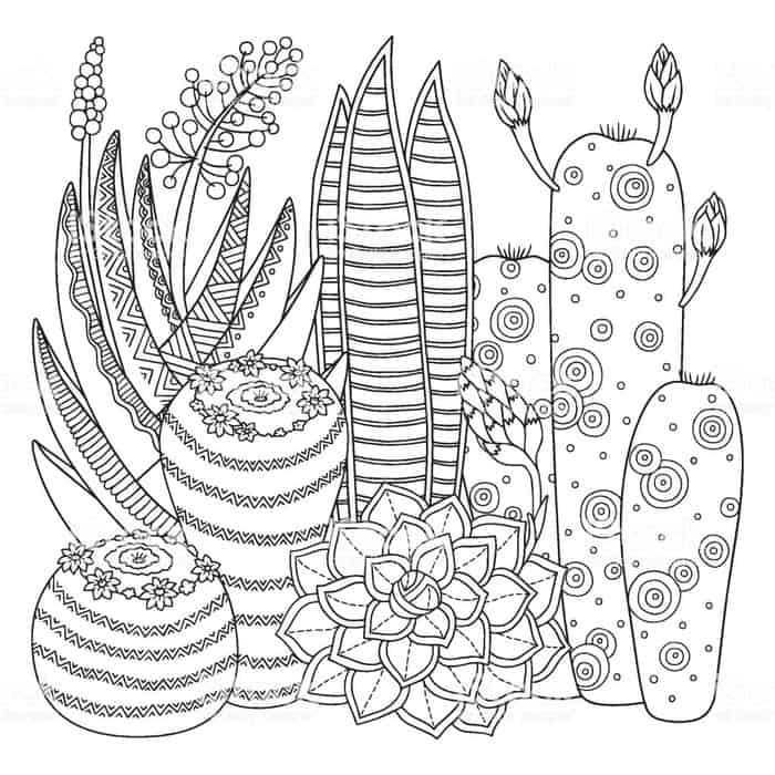 Easter Lily Cactus Flower Coloring Pages