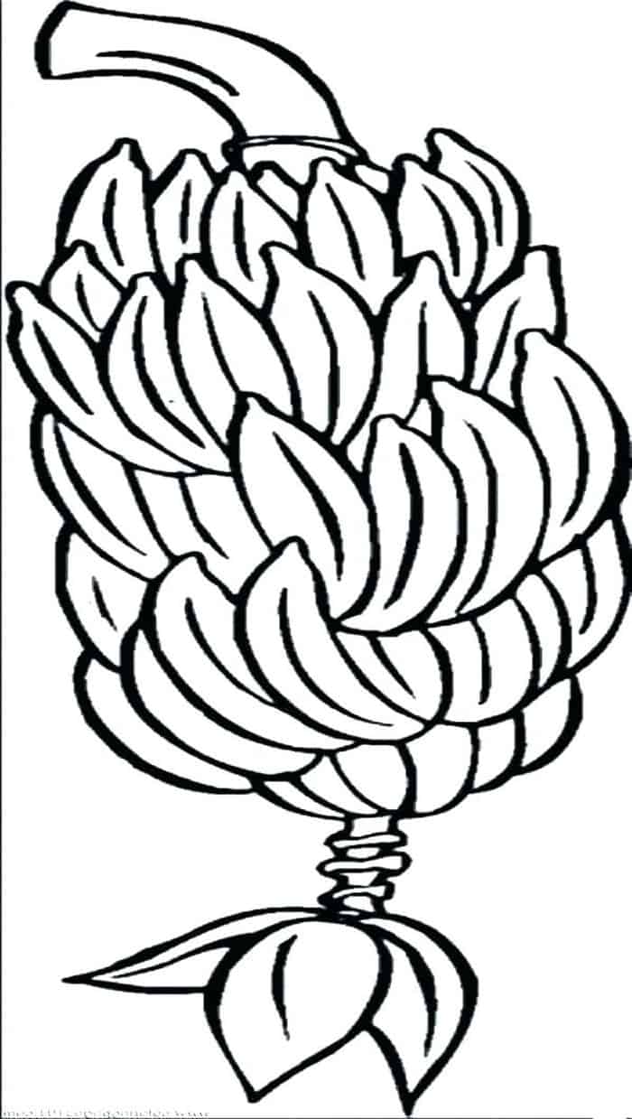 Group Of Banana Coloring Pages