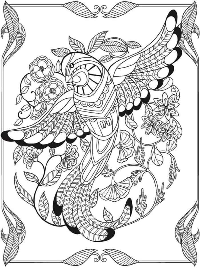 Phoenix Bird Coloring Pages