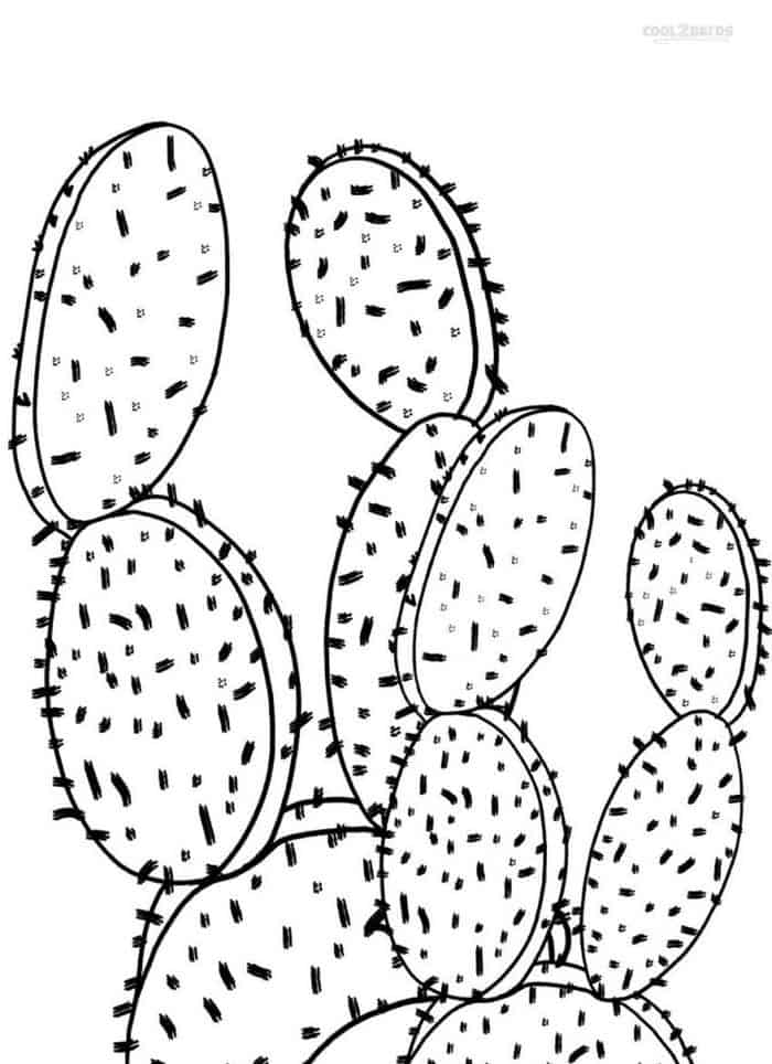 Printable Coloring Pages For Adults Cactus