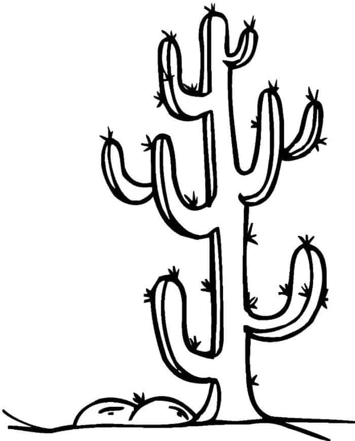 Saguaro Cactus Coloring Pages
