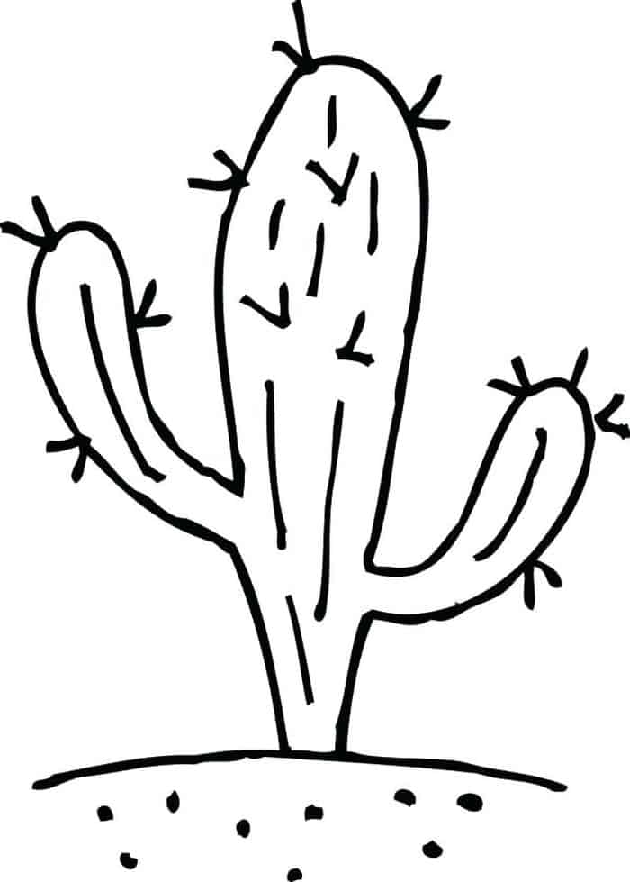 Toddler Cactus Coloring Pages Free