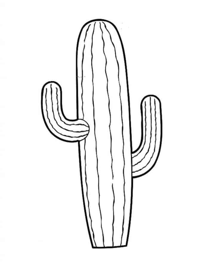 Water Mole Pineapple Cactus Coloring Pages
