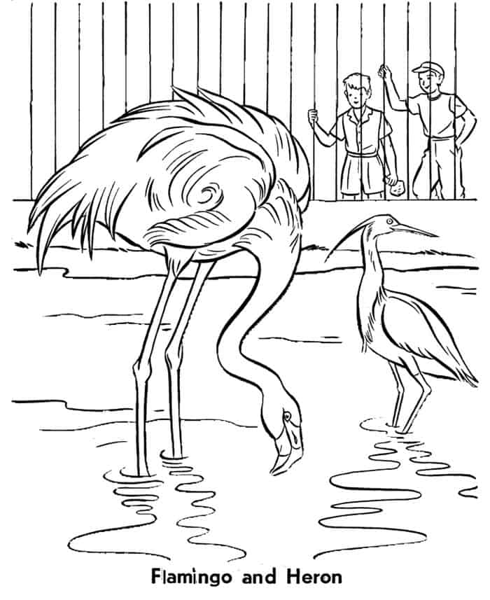 A Day At The Zoo Coloring Pages