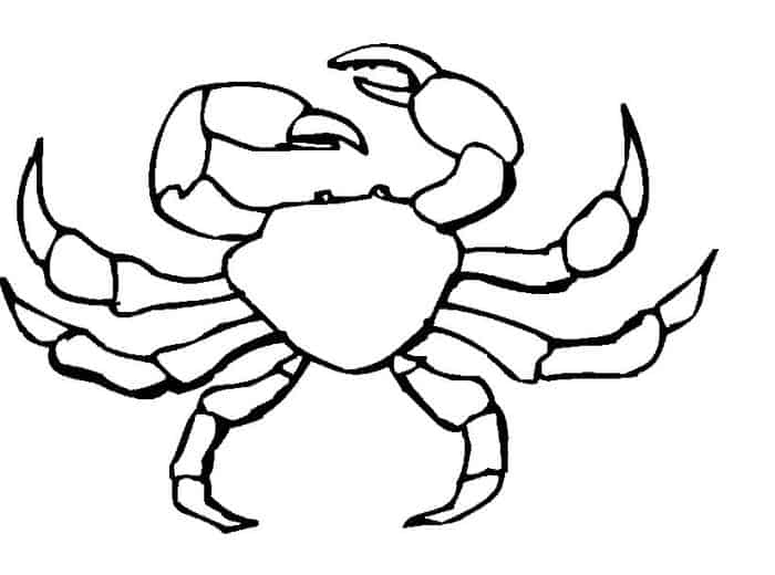 Adult Coloring Pages Crab