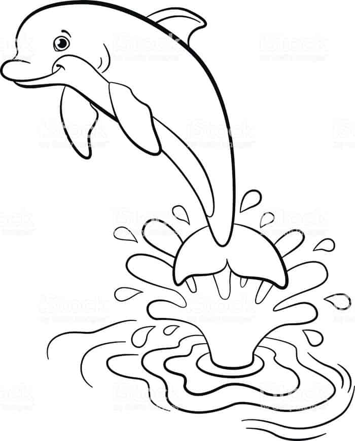 Adult Coloring Pages Dolphin