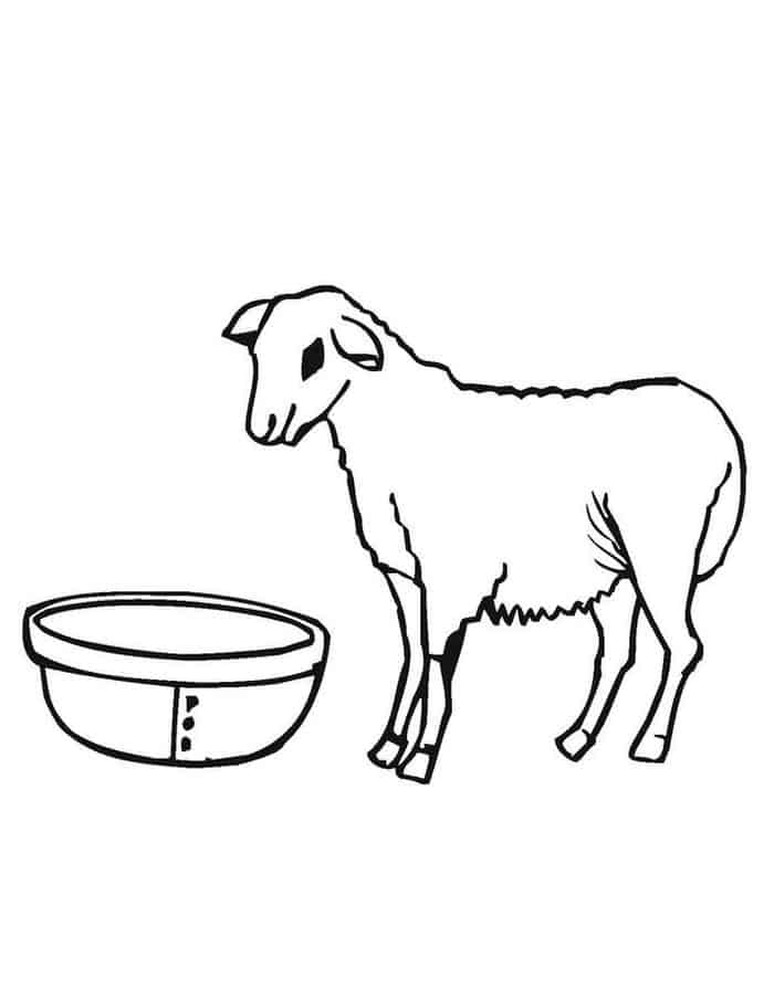 Adult Coloring Pages Of Sheep And Shepherd