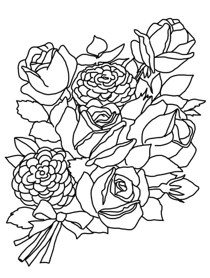 Adult Coloring Pages Rose