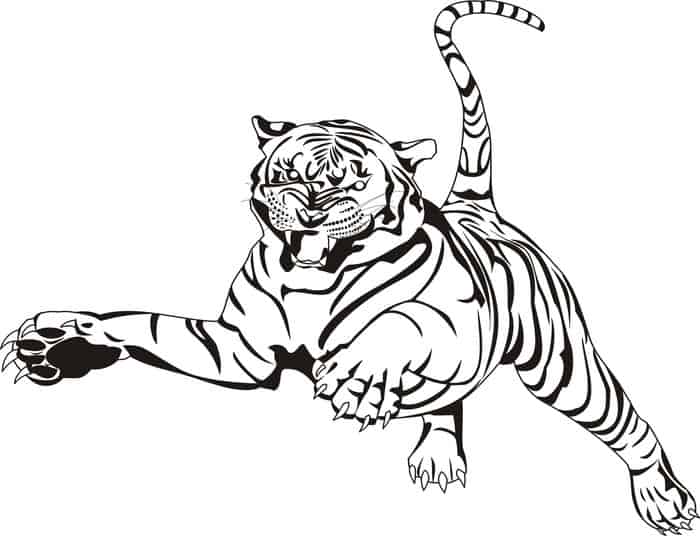 Adult Coloring Pages Tiger