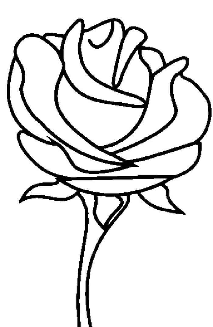 Adult Rose Coloring Pages
