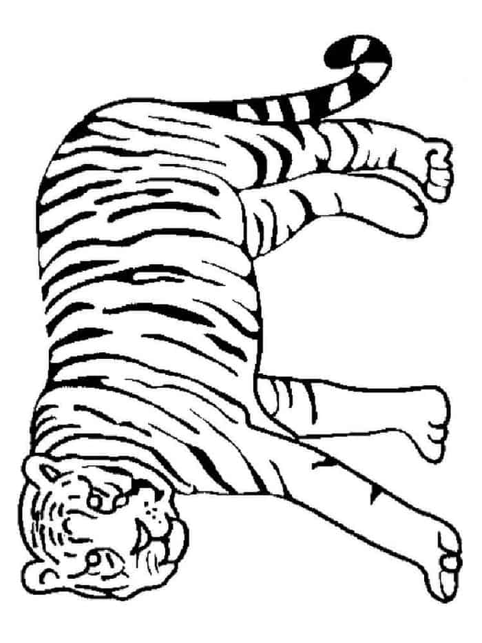 Adult Tiger Coloring Pages