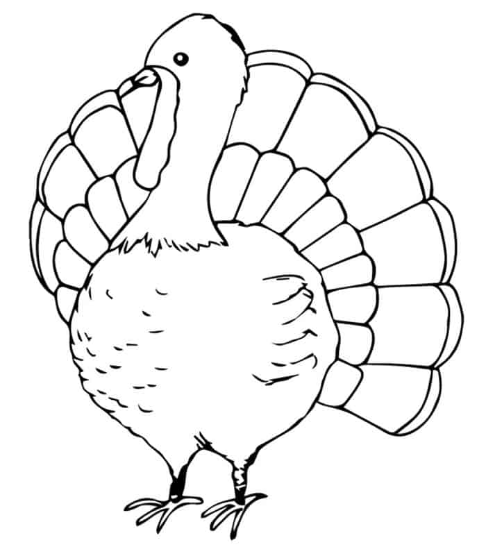 Adult Turkey Coloring Pages