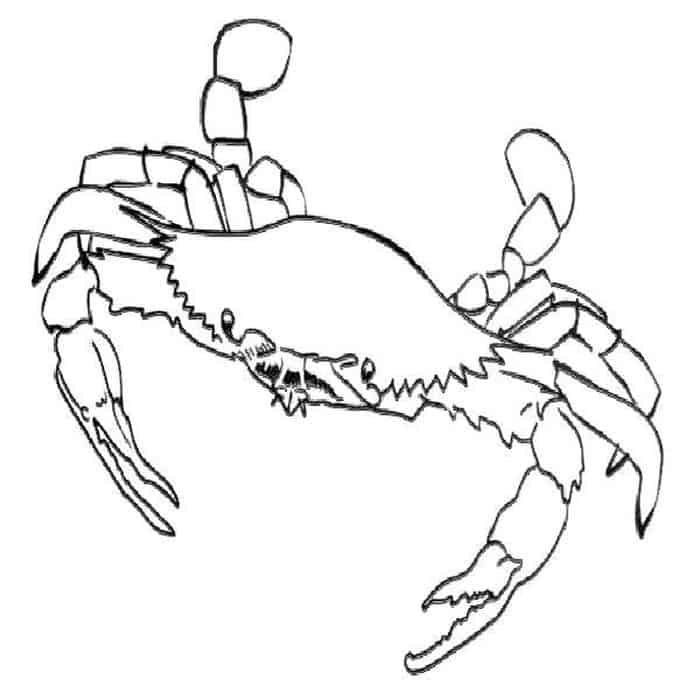 Alaskan King Crab Coloring Pages